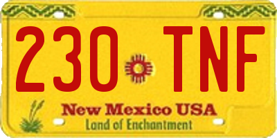 NM license plate 230TNF