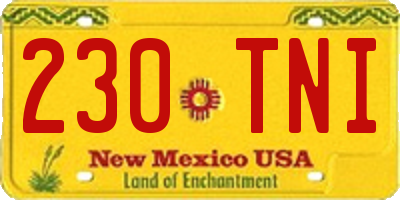 NM license plate 230TNI