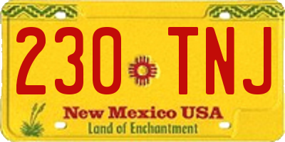 NM license plate 230TNJ