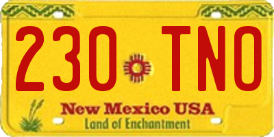 NM license plate 230TNO