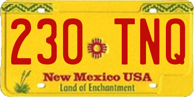 NM license plate 230TNQ