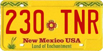 NM license plate 230TNR