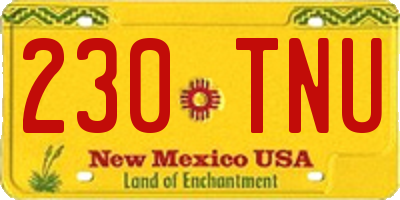 NM license plate 230TNU