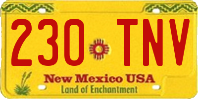 NM license plate 230TNV