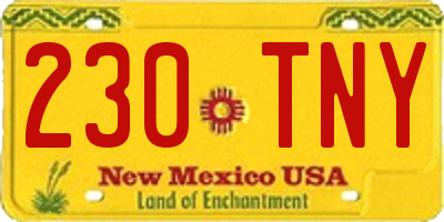NM license plate 230TNY