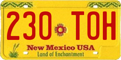 NM license plate 230TOH