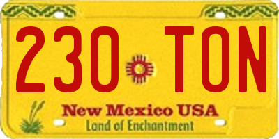NM license plate 230TON