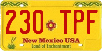 NM license plate 230TPF