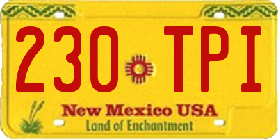 NM license plate 230TPI
