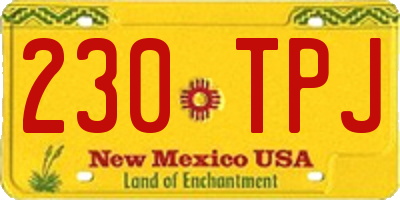 NM license plate 230TPJ