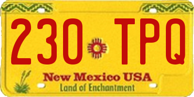 NM license plate 230TPQ