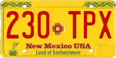 NM license plate 230TPX