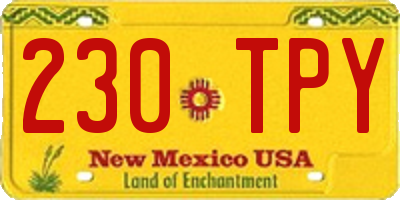 NM license plate 230TPY