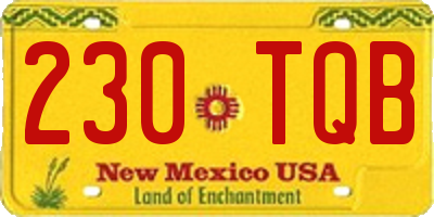 NM license plate 230TQB