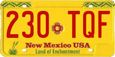NM license plate 230TQF