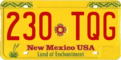NM license plate 230TQG