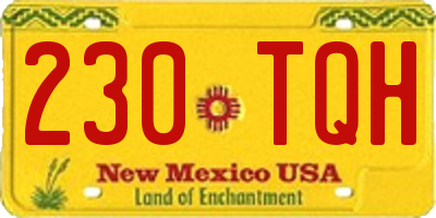 NM license plate 230TQH