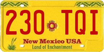 NM license plate 230TQI