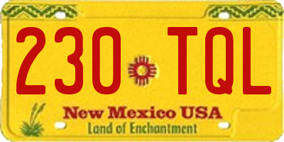 NM license plate 230TQL