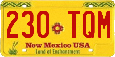 NM license plate 230TQM