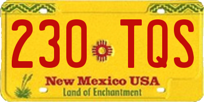 NM license plate 230TQS