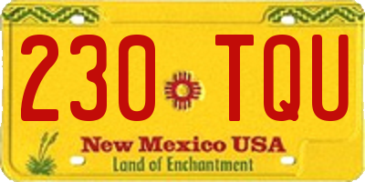 NM license plate 230TQU