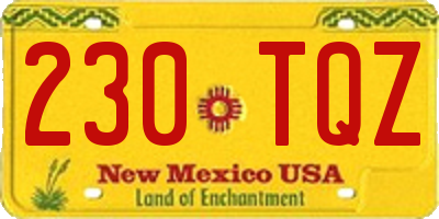 NM license plate 230TQZ