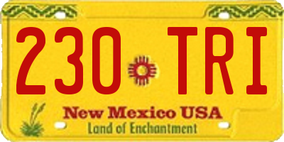 NM license plate 230TRI