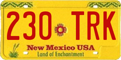 NM license plate 230TRK