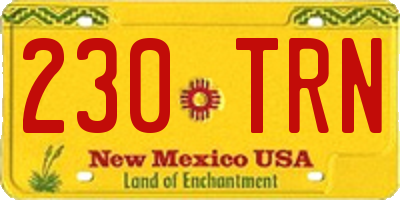 NM license plate 230TRN