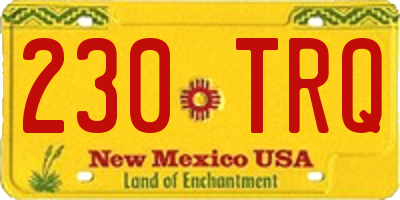NM license plate 230TRQ