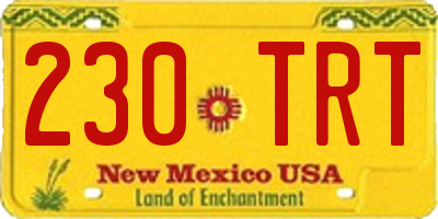 NM license plate 230TRT