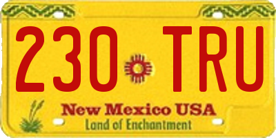 NM license plate 230TRU