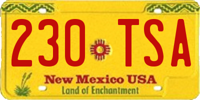 NM license plate 230TSA