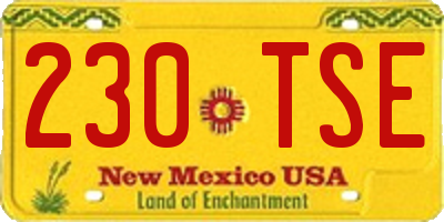 NM license plate 230TSE