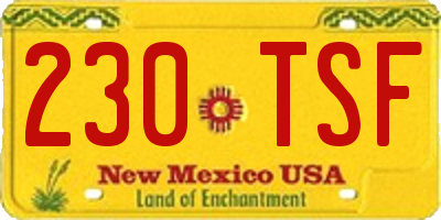 NM license plate 230TSF