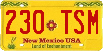 NM license plate 230TSM