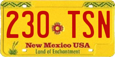 NM license plate 230TSN