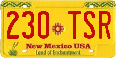 NM license plate 230TSR
