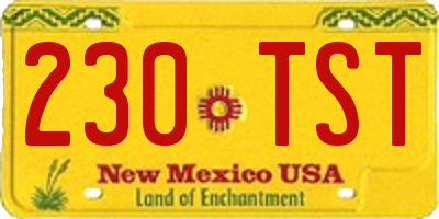 NM license plate 230TST