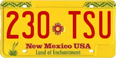 NM license plate 230TSU