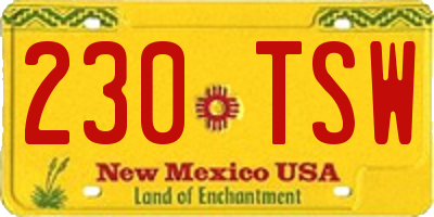 NM license plate 230TSW