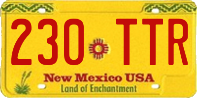 NM license plate 230TTR