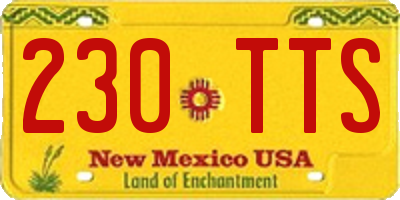 NM license plate 230TTS