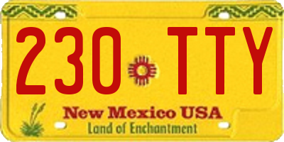NM license plate 230TTY