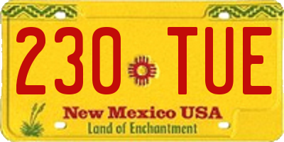 NM license plate 230TUE