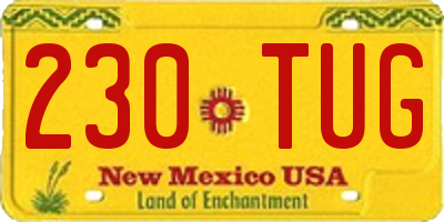 NM license plate 230TUG