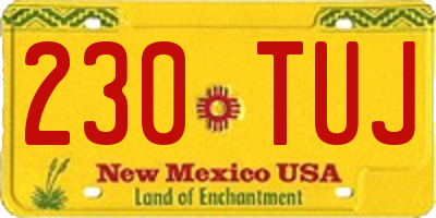 NM license plate 230TUJ