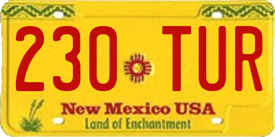NM license plate 230TUR