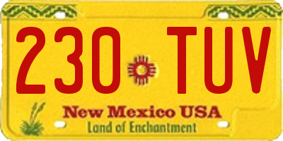 NM license plate 230TUV